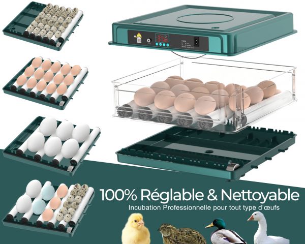 Dural's Egg Incubator (16 Eggs) – Image 4